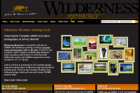 Wilderness Moments Wildlife and Nature Greeting Cards by John E. Marriott